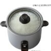Panasonic Mini Rice Cooker SR-MC03-W review compact design and performance tested