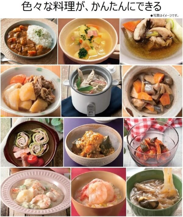 Panasonic Mini Rice Cooker SR-MC03-W review compact design and performance tested